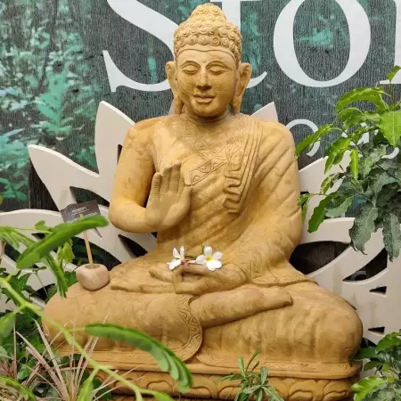 What is the Difference Between a Dhyana Mudra and a Vitarka Mudra Buddha Statue?